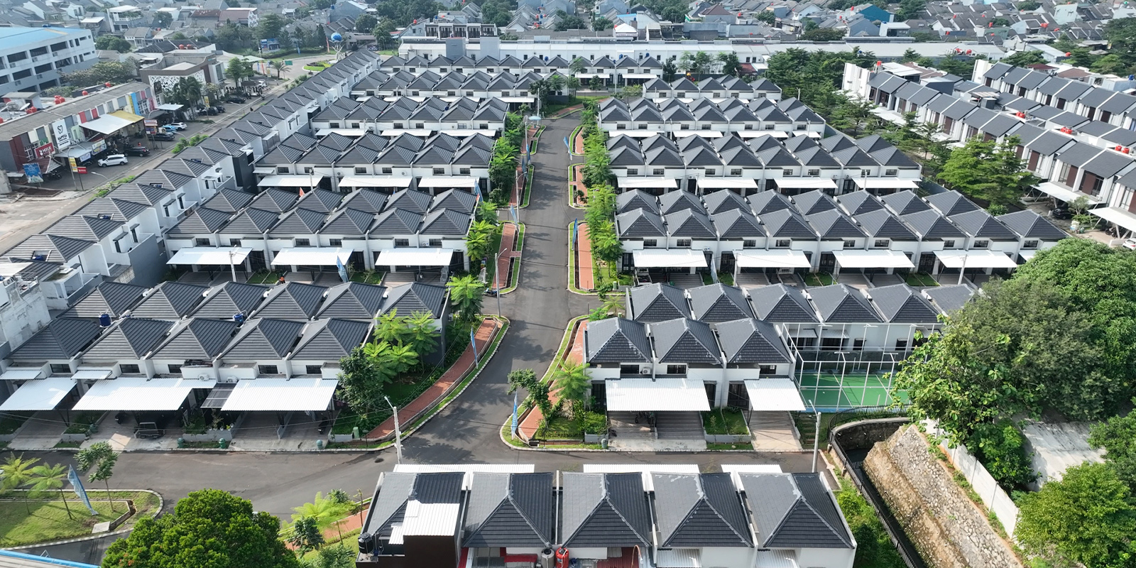 Cluster The Colony Tipe Senna